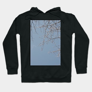 Frosted Branches Hoodie